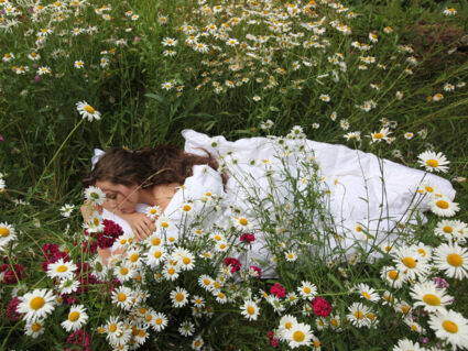 Одеяло Nature’S-Natura Sanat Традиционная классика всесезонное 220х240