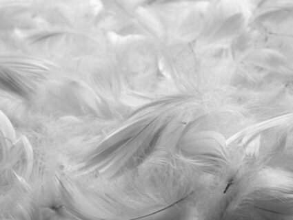 Подушка Nature’S-Natura Sanat Ночная гармония 70х70