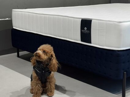 Матрас Materlux Makenberra 130х190