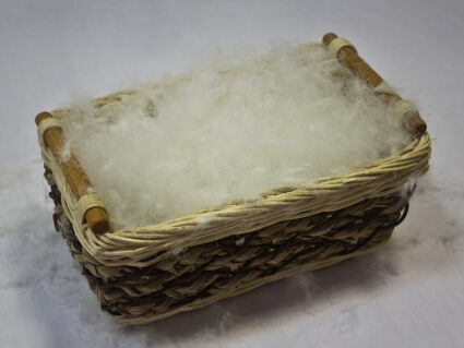 Подушка Nature’S-Natura Sanat Для мужчин 50х70