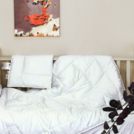 Одеяло German Grass Baby Cotton Grass всесезонное Light 100х135